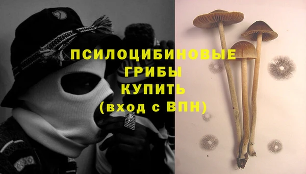 MESCALINE Гусиноозёрск
