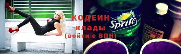прущий лед Гусев