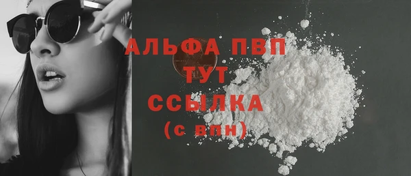 прущий лед Гусев