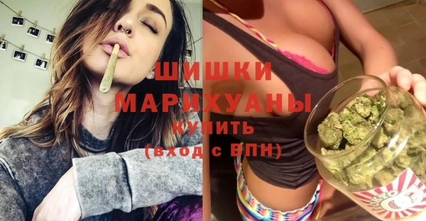 прущий лед Гусев