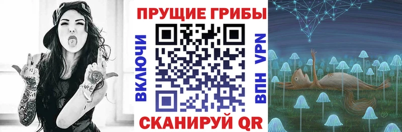 Псилоцибиновые грибы Psilocybine cubensis  Купить где  Коммунар 